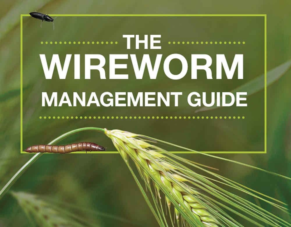 Wireworm Management Guide