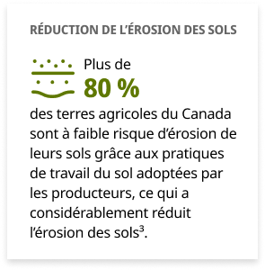 infographie