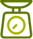 scale icon