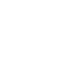 bullseye icon with fork