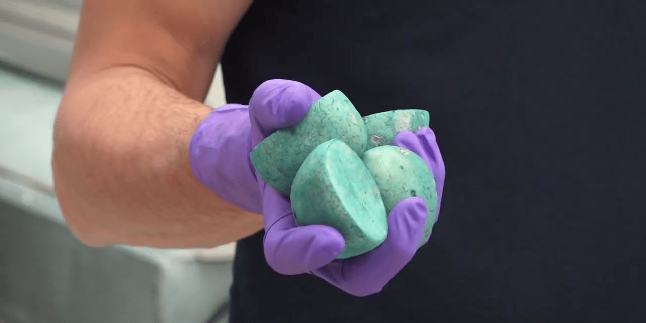 purple-gloved hand holding potato seed pieces treated with Syngenta liquid seed treatment