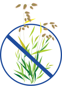 Broadleaf weed control