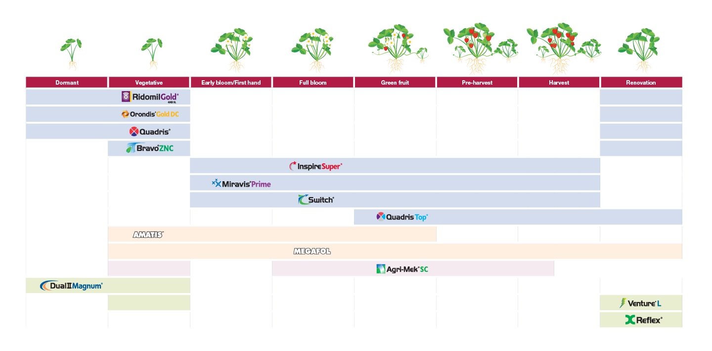 Strawberry application timing chart