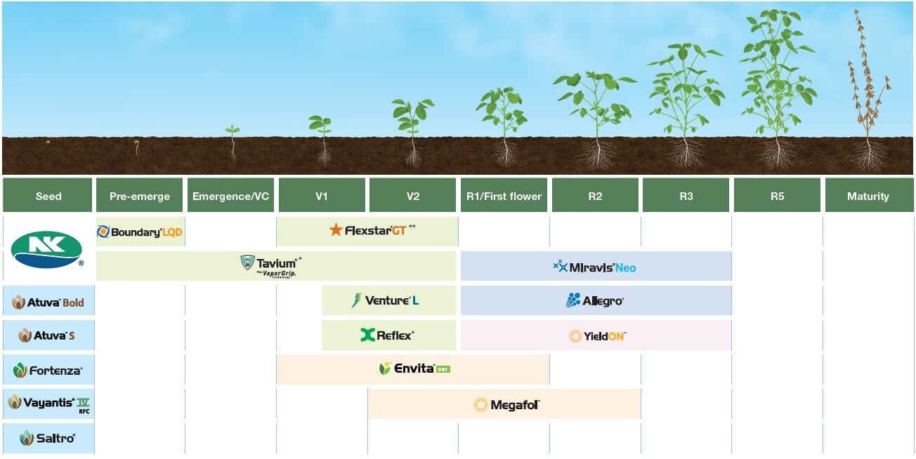 Soybean Application Timing