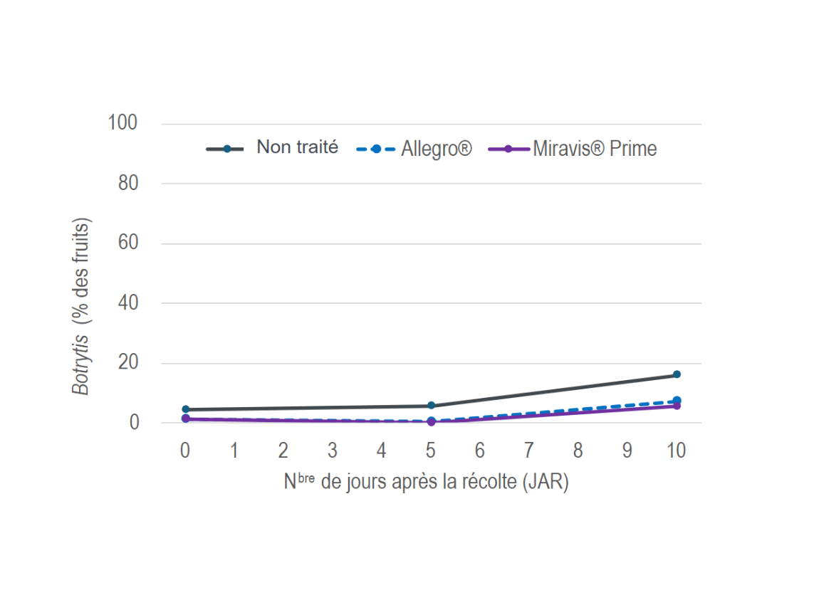 Données comparatives entre les bleuets en corymbe non traités et ceux traités avec Allegro® et Miravis® Prime
