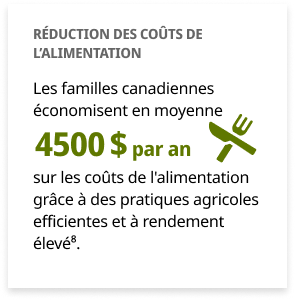 infographie