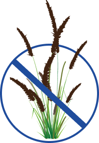 Grass weed protection