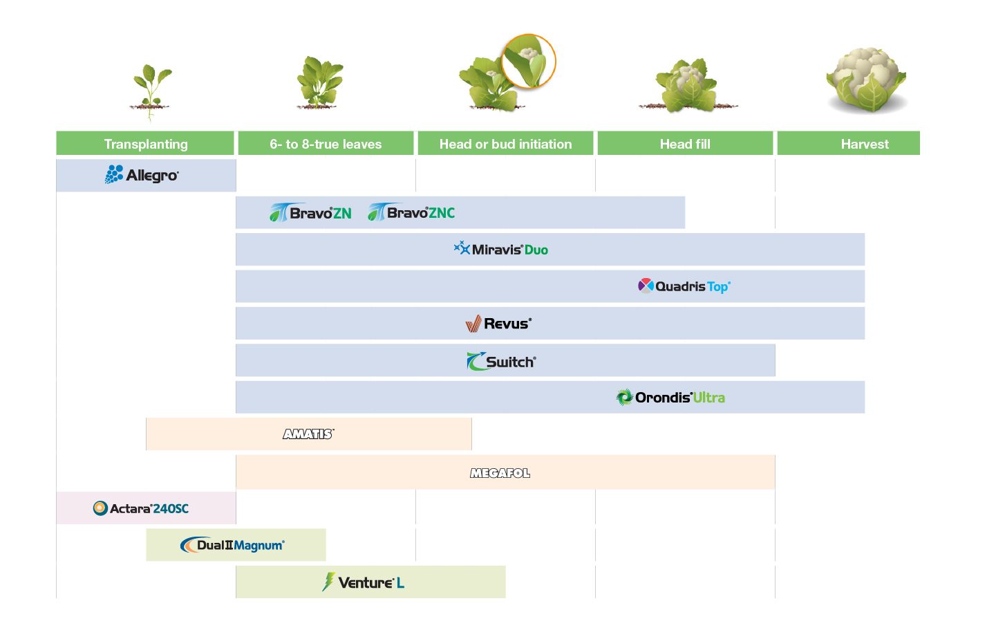 Brassica Application Timing Chart