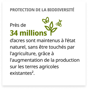 infographie