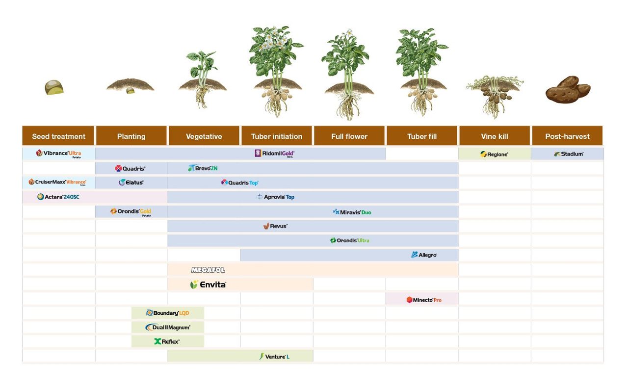 Plant, Organism, Rectangle, Tree, Font, Slope