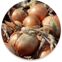 Food, Ingredient
