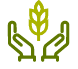 icon depicting hands holding wheat