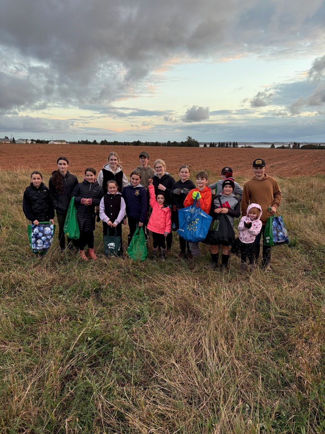  4-H youth recognized for creating sustainable solutions