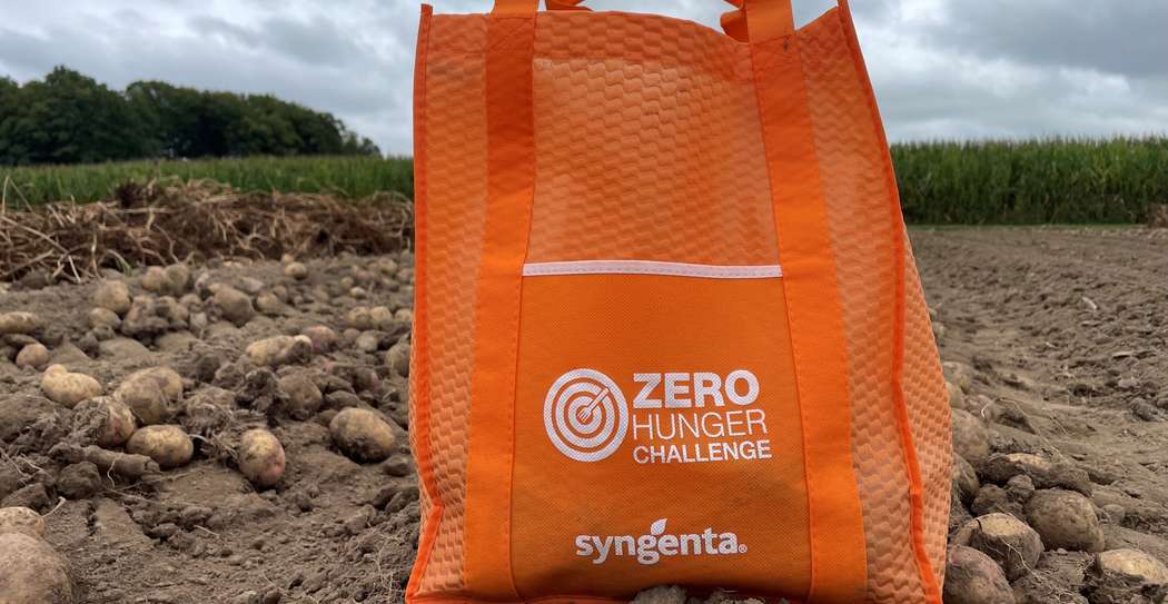 sac d'épicerie orange posé dans un champ de terre