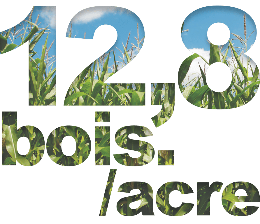 Text "128 bois./acre" with a cornfield and blue sky filling the letters.