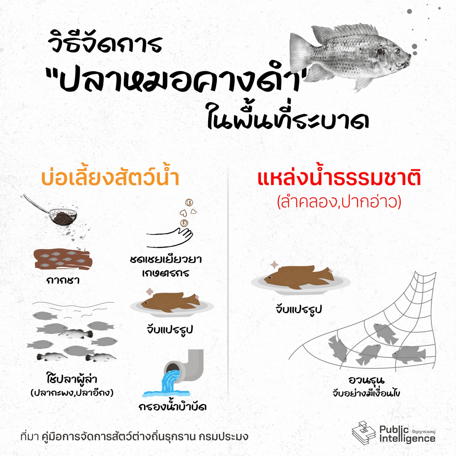 Product, Organism, Font