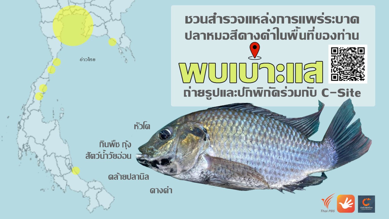 Organism, Map, Line, Fish