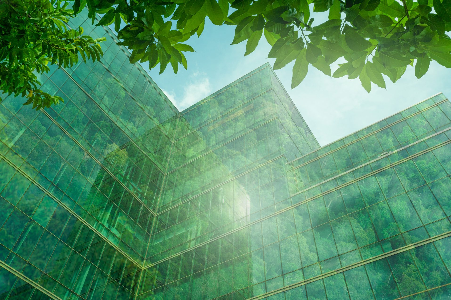 Terrestrial plant, Urban design, Sky, Green, Leaf, Biome