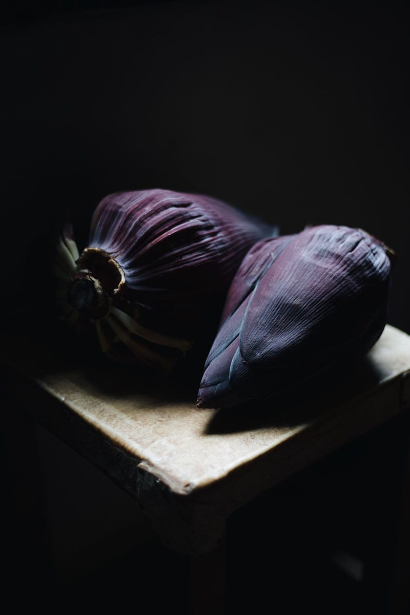 Plant, Purple, Violet, Feather