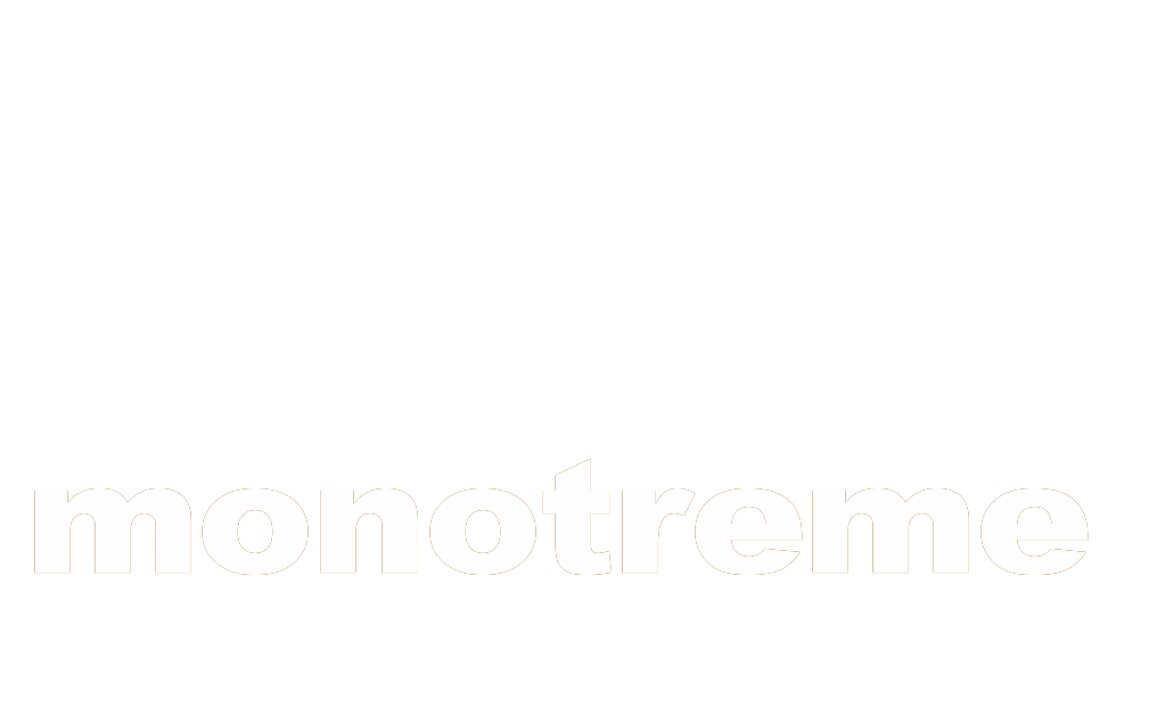 Bird, Black, Beak, Organism, Mammal, Cartoon, Font