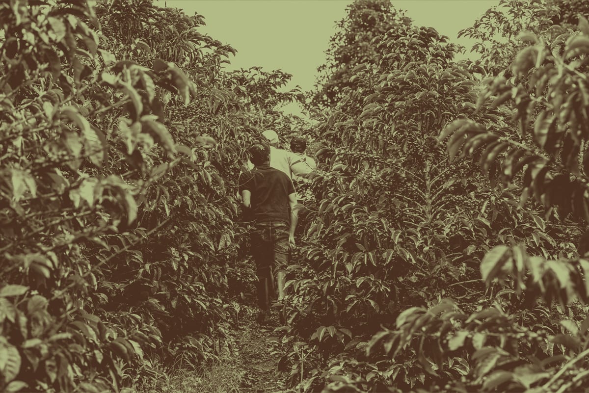 People in nature, Plant, Branch