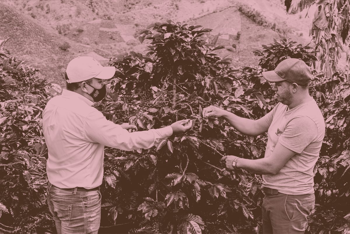 People in nature, Woody plant, Trousers, Branch, Standing, Gesture, Happy, Hat, T-shirt