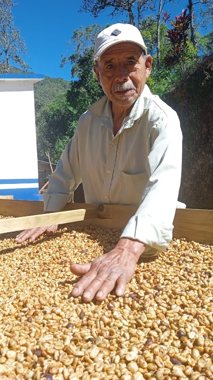 Produce, Ingredient, Food