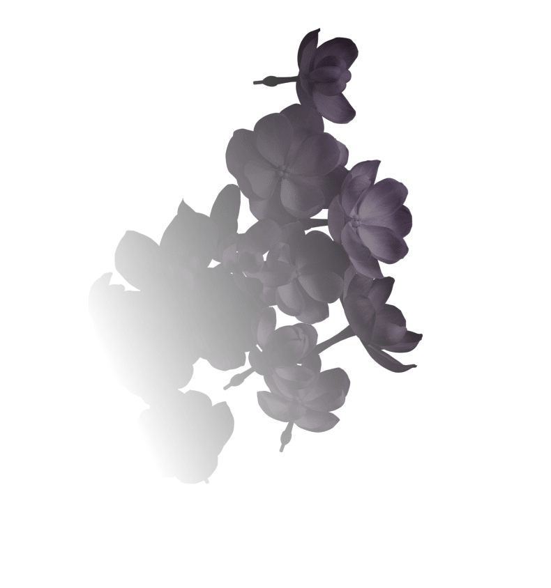 Plant, Fruit, Gesture
