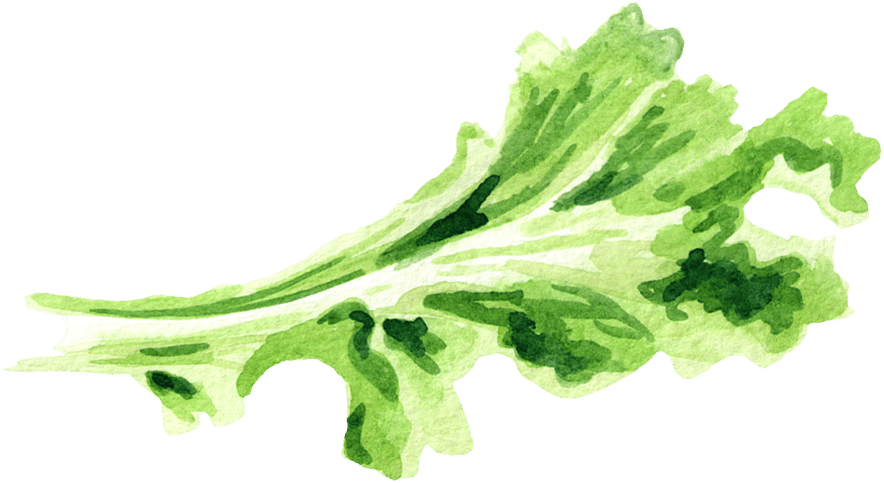 Fines herbes, Leaf vegetable, Plant