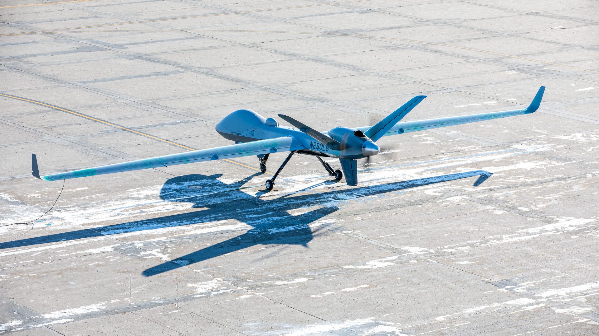 Vehicle, Aircraft, Azure, Insect, Monoplane, Plant