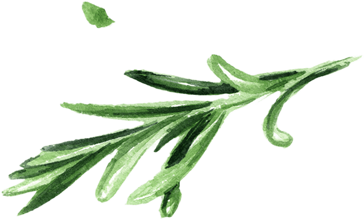 Terrestrial plant, Flower