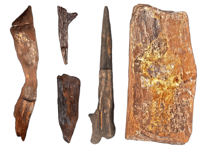 Natural material, Brown, Wood, Artifact