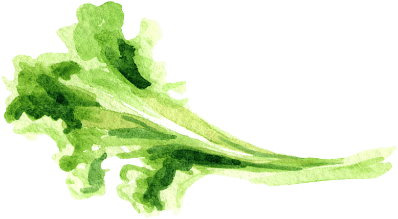 Leaf vegetable, Terrestrial plant