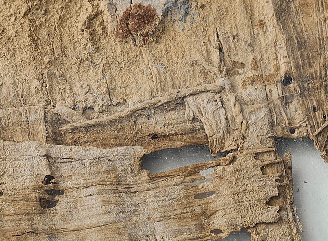 Brown, Wood, Trunk, Beige