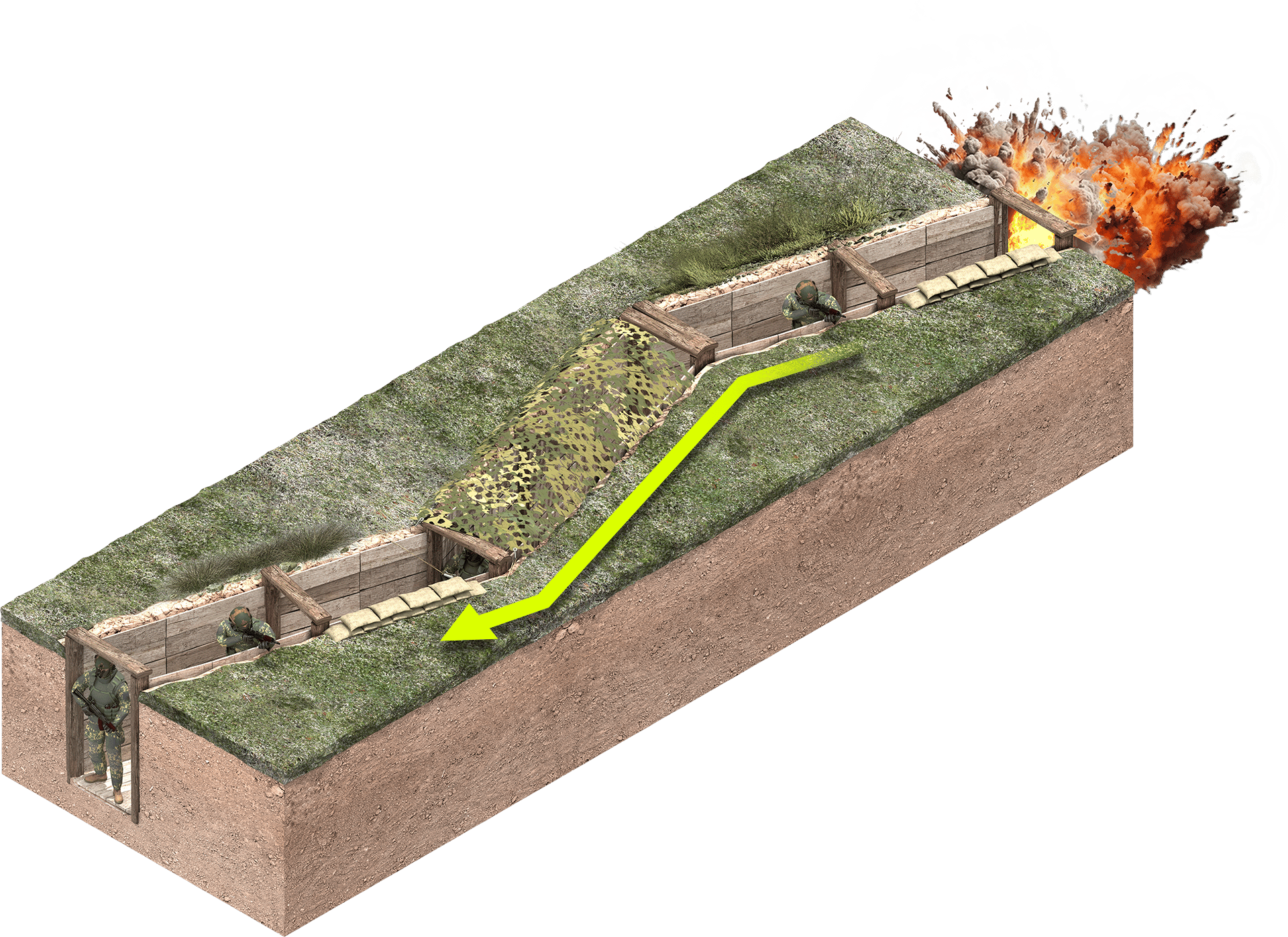 Terrestrial plant, Rectangle, Slope, Grass