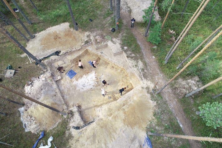 Land lot, Plant, Slope