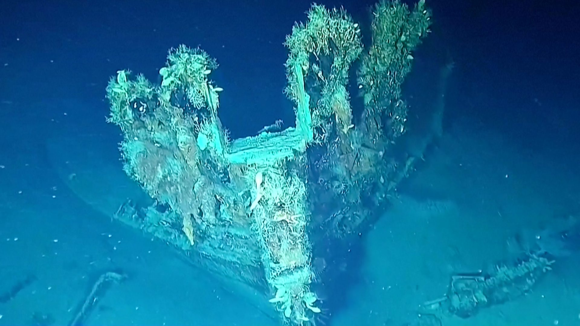 Water, Liquid, Azure, Fluid, Organism, Aqua