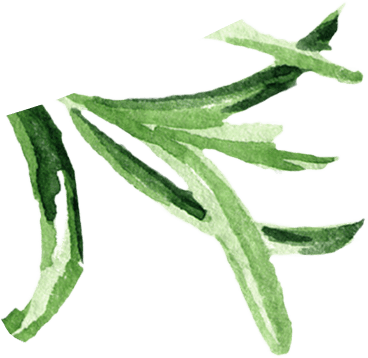 Terrestrial plant, Flower