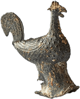 Terrestrial animal, Bird, Giraffidae, Plant, Beak