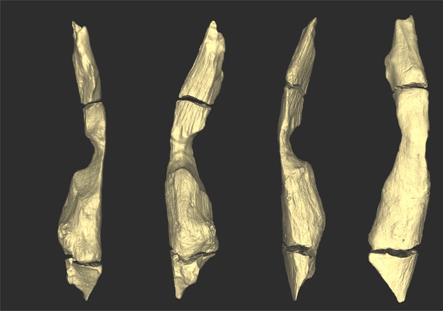 Human body, Leg, Gesture