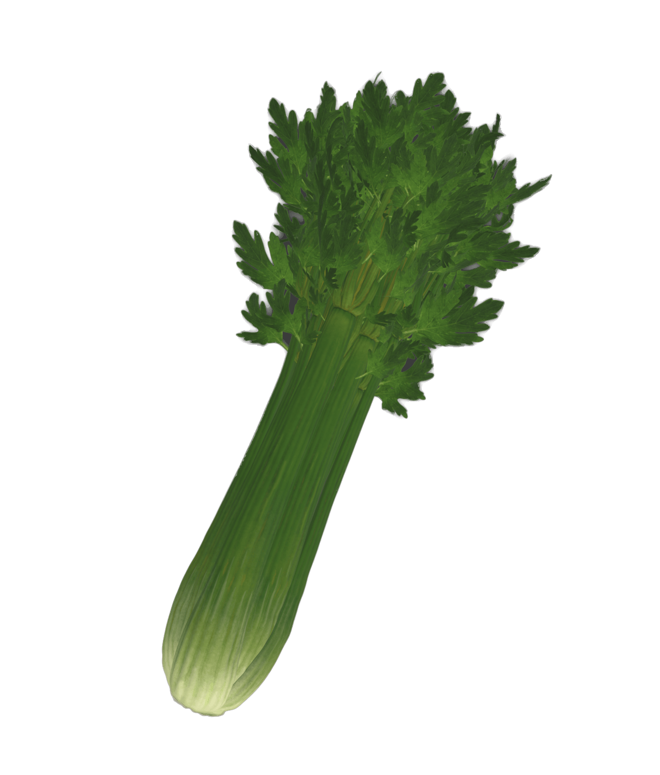 Leaf vegetable, Staple food, Terrestrial plant