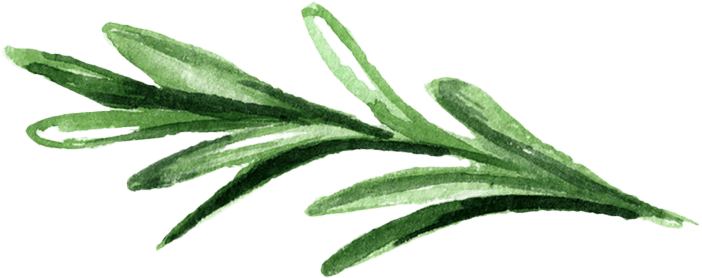 Terrestrial plant, Flower