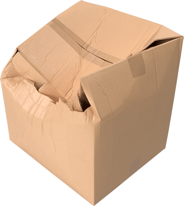 Creative arts, Rectangle