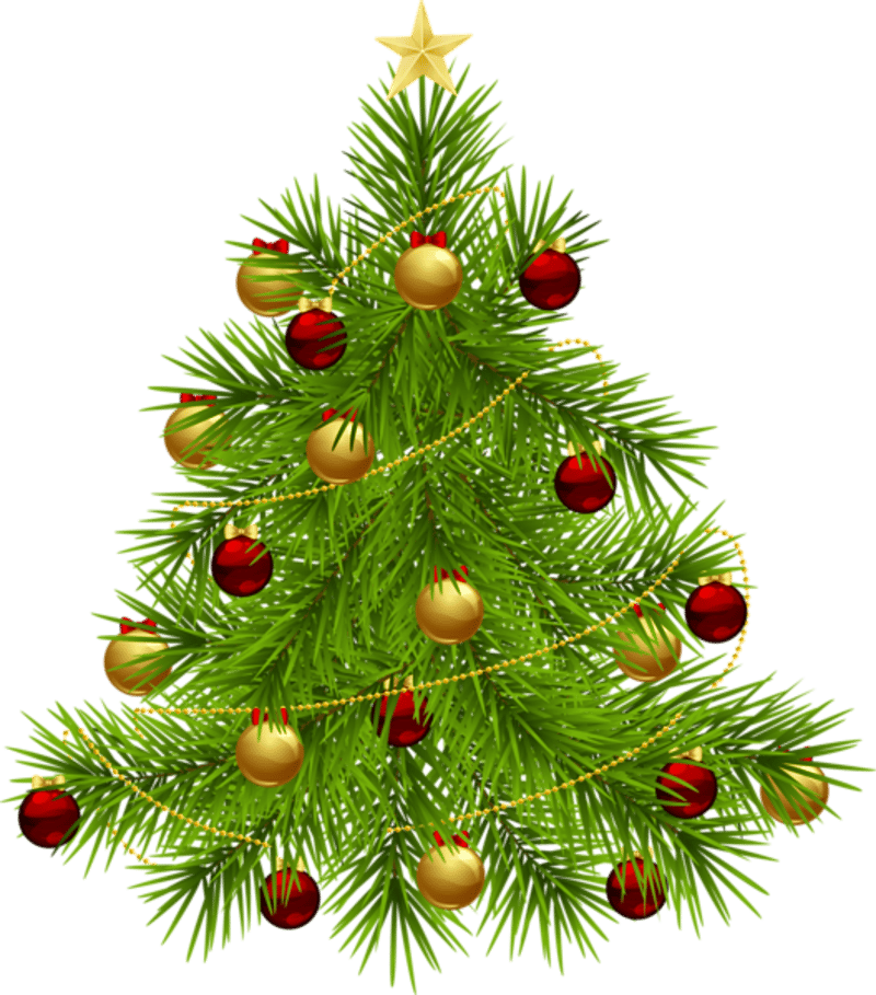 Christmas ornament, Leaf, Botany, Branch, Larch, Twig, Evergreen