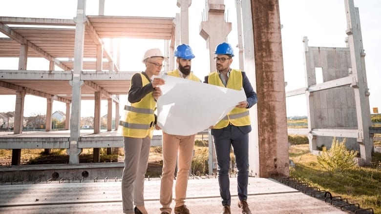 Hard hat, Plant, Workwear, Helmet, Engineer