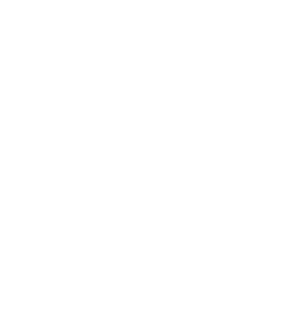 White snowflake icon.