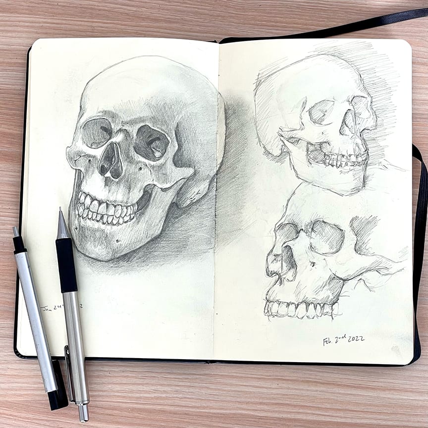 Jaw, Font, Bone