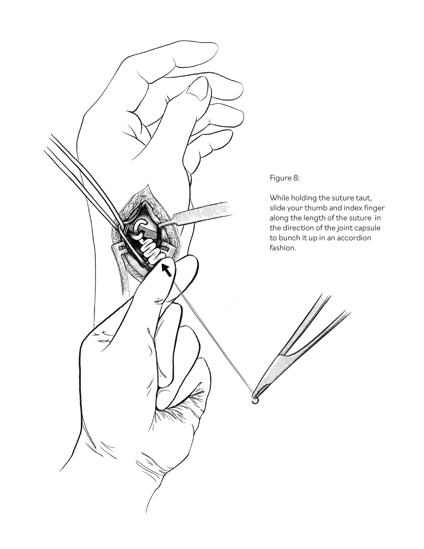 Human body, Hand, Gesture, Finger
