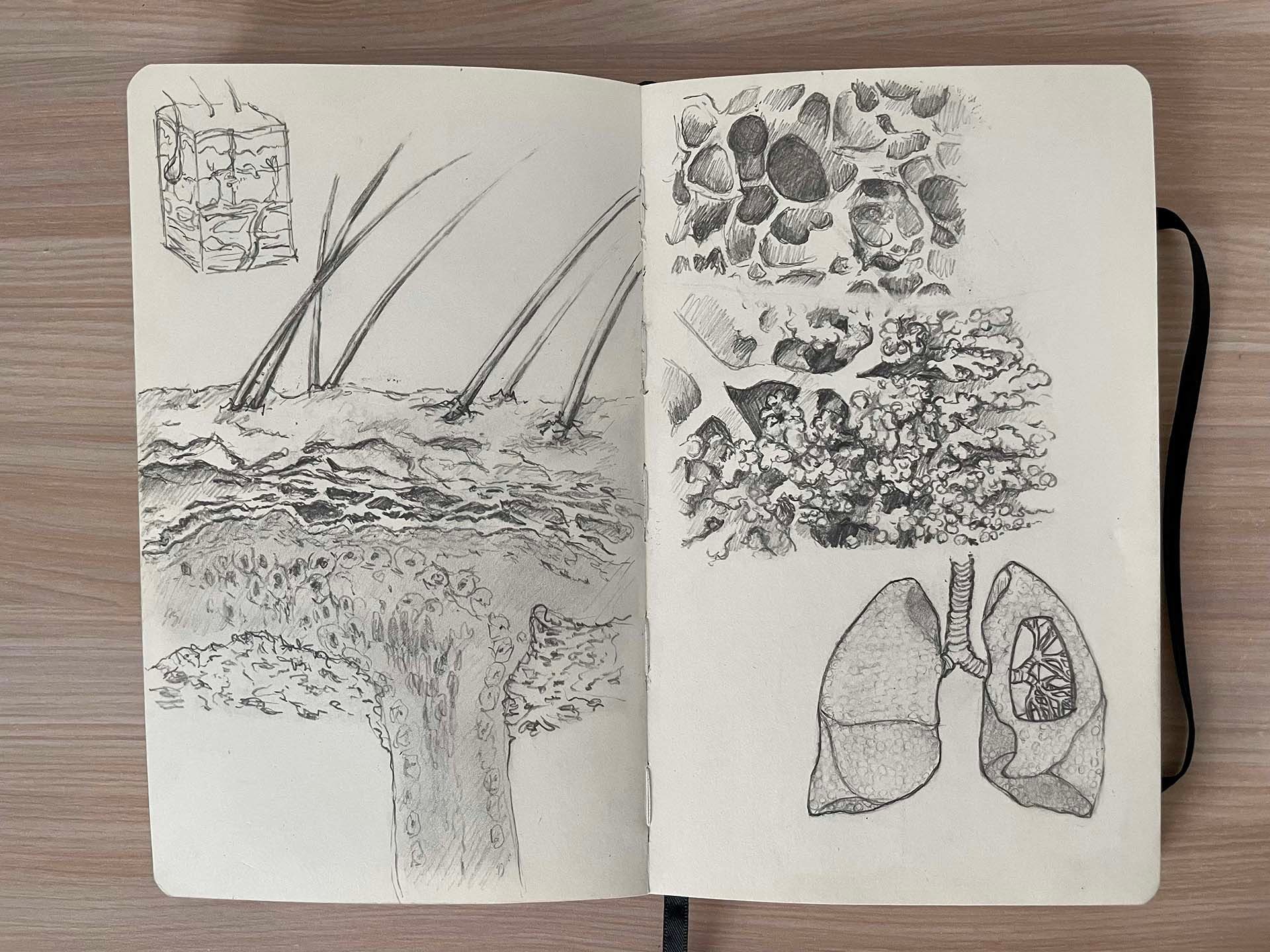 Plant, Font, Art, Tree