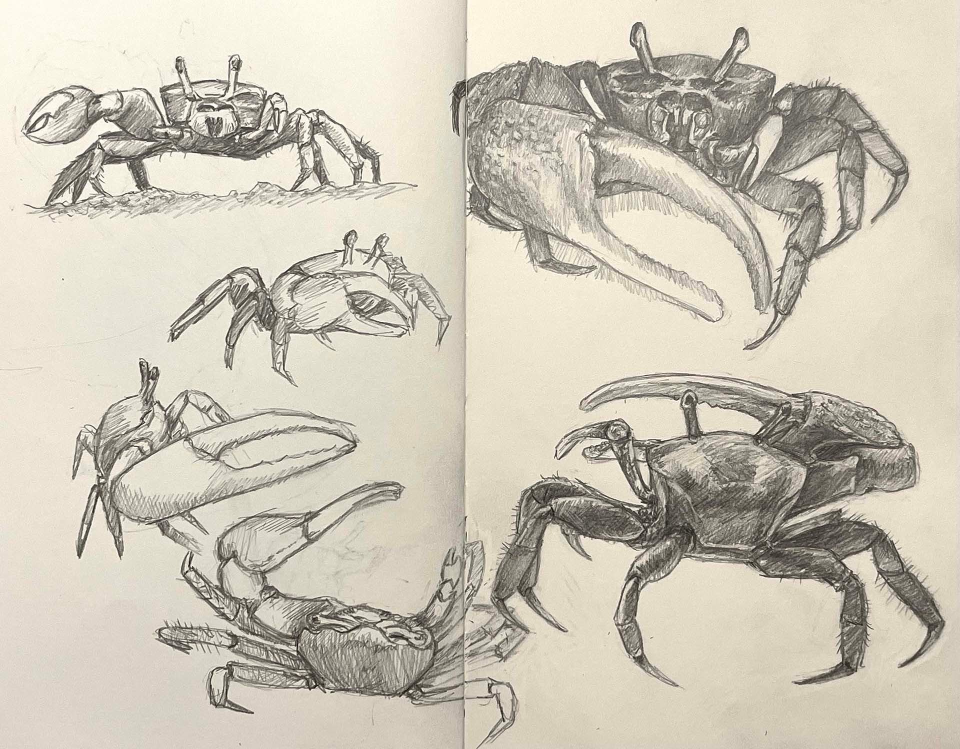 Arm, Vertebrate, Jaw, Organism, Art